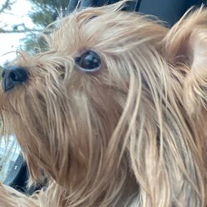 Meet your Posher, Aimee